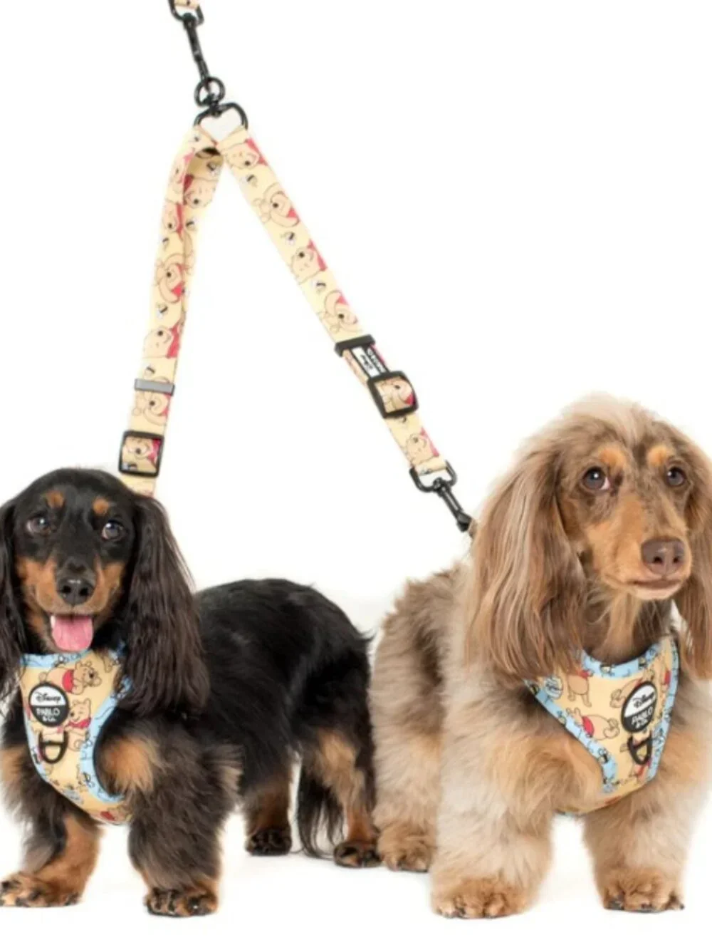 (NWT) Pablo & Co. Boutique - Dumbo in the Clouds Leash Splitter